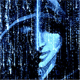 九游娱乐平台2024最新火爆手游单机排行榜-2024好用的软件排行榜-游戏鸟手游网(图47)